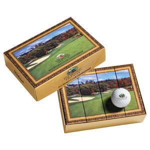 Titleist Gallery Series Dozen